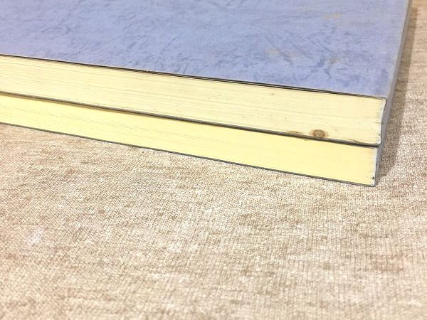 本間源三郎日記 上下巻(本間源三郎[著], 杉山正実編集) / 雨と夢