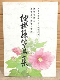 地橙孫生誕百三十周年記念 地橙孫写真集 清明の俳人 最後の六朝書・書家