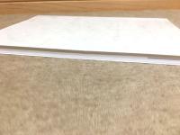 地橙孫生誕百三十周年記念 地橙孫写真集 清明の俳人 最後の六朝書・書家