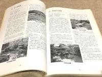 山口県の庭園　山口県未指定文化財調査報告8 