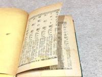 野象大陸