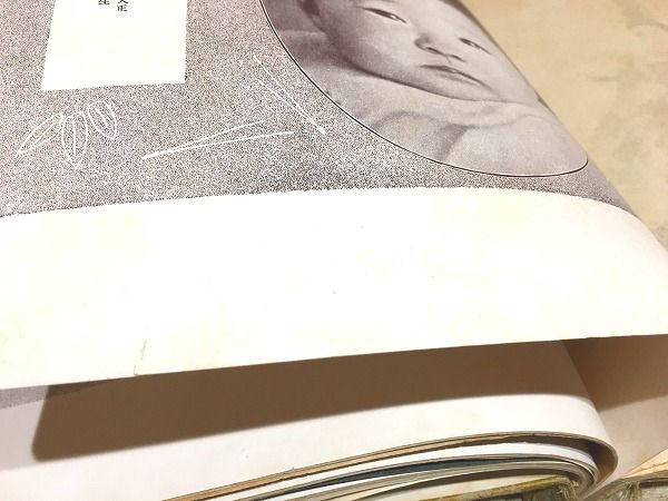 宮内省御貸下 明治天皇御写真帖 / 雨と夢の本屋 / 古本、中古本