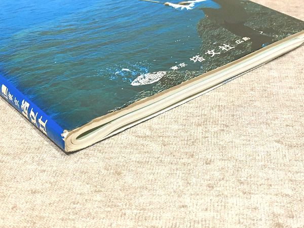 フィッシングガイド 山陰のつり / 雨と夢の本屋 / 古本、中古本