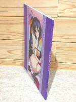 ハイスクールD×D NAW ビジュアルコレクション 下巻 イラスト集