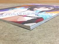 ハイスクールD×D NEW　ビジュアルコレクション 下巻　メガミマガジン Amazon.co.jp: ハイスクールD×D NEW ビジュアルコレクション