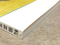 図録 生誕100年 松田正平 展