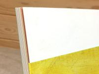 図録 生誕100年 松田正平 展