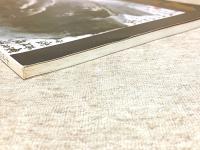 図録 李可染中国画展