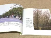 北京市の街路樹 北京市の緑化と環境創造を目指して二千余年の成果