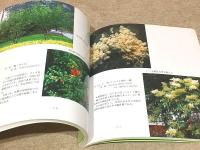 北京市の街路樹 北京市の緑化と環境創造を目指して二千余年の成果