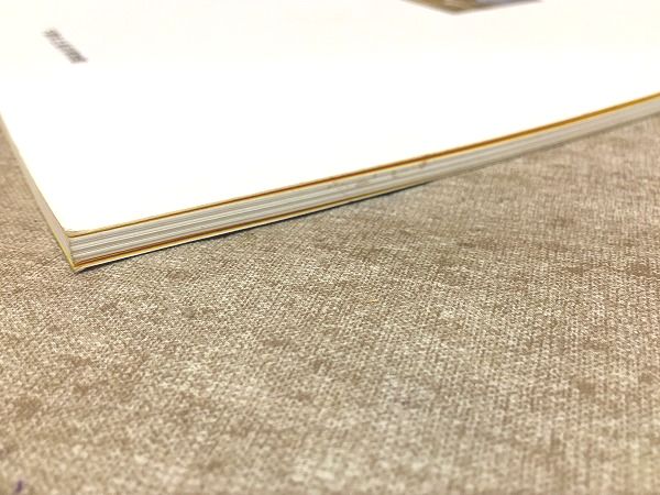 図録 桂弥一と長門尊攘堂(下関市立長府博物館編) / 雨と夢の本屋