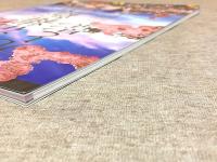 図録 明治維新の光と影 明治維新140年記念特別展