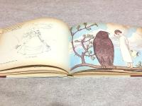 洋書 チャールズ・ドイルの日記 THE DOYLE DIARY THE LAST GREAT CONAN DOYLE MYSTERY