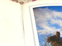 洋書 SUMMER CAMP