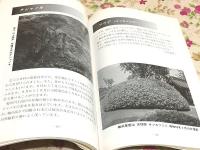 徳山百樹