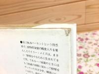 ウイリー・メイズ自伝 : 大リーグの黒い稲妻