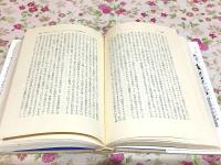 ウイリー・メイズ自伝 : 大リーグの黒い稲妻