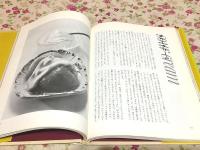 私の西洋料理控え