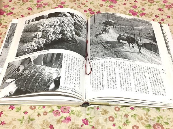 写真で綴る昭和30年代農山村の暮らし 高度成長以前の日本の原風景 写真で綴る」昭和30年代農山村の暮らし : 高度成長以前の日本の
