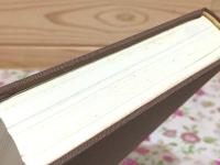 国民体育    肥田春充  平田内蔵吉 国民体育 肥田春充 平田内蔵吉 - メルカリ