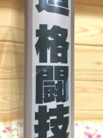 世界武道格闘技大百科