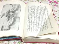 隠れたる亊実 日露大戰秘史