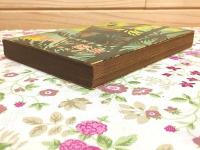 祖国への遺書 : 戦犯死刑囚の手記