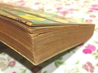 祖国への遺書 : 戦犯死刑囚の手記