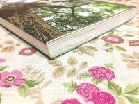 うべ歴史読本