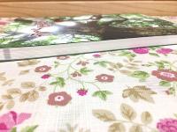 うべ歴史読本