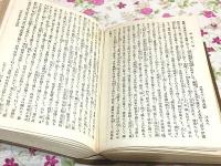 全訳日本外史
