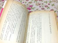 リーマスじいやの物語 アメリカ黒人民話集 講談社文庫