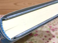 ヴァールミーキはどこへ行けばよいのか 現代インドの清掃人カースト差別と公衆衛生の民族誌