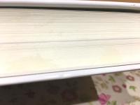 ヨーロッパ視覚文化史