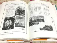インドの細密画を訪ねて 上下セット