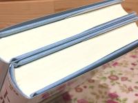 トルコの歴史 上下 刀水歴史全書101