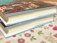 トルコの歴史 上下 刀水歴史全書101