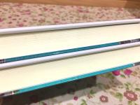 トルコの歴史 上下 刀水歴史全書101