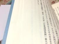 トルコの歴史 上下 刀水歴史全書101