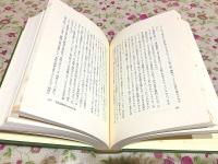 大乗仏典 中国・日本篇 第10・11巻 敦煌Ⅰ・Ⅱ