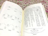 イラストでわかる密教印のすべて