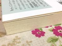 アンベードカルの生涯 光文社新書
