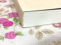 金光明経の研究 説法師と経典編纂についてのケーススタディー インド学仏教学叢書23