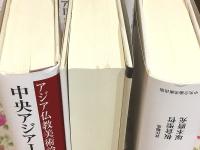 アジア仏教美術論集 全12巻揃