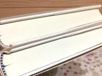 人間とはⅠ・Ⅱ セット 日本佛教学会叢書