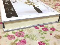 鈴木大拙 : 禅を超えて