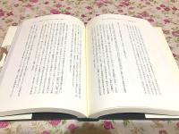 古代インドのアングリマーラ伝承　歎異抄十三条 漢訳経典・仏伝図像から読み解く