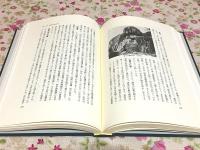 中国仏教史全集 全11巻揃