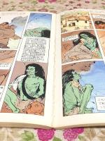 チベットの聖者ミラレパ
