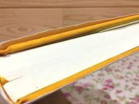 敦煌寫本 大乗起信論疏の研究 金剛大学校外国語叢書